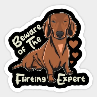 Funny Daschund Beware of The Flirting Expert Sticker